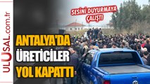 Antalya Kaş'ta domates üreticileri yol kapattı