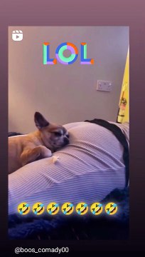 Un coussin péteur... c'est le cas de le dire