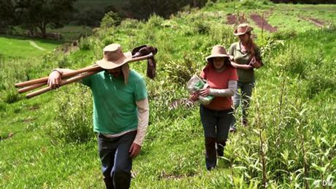 Reforestando la Mata Atlántica