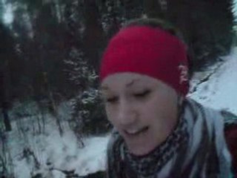 Snöpromenix