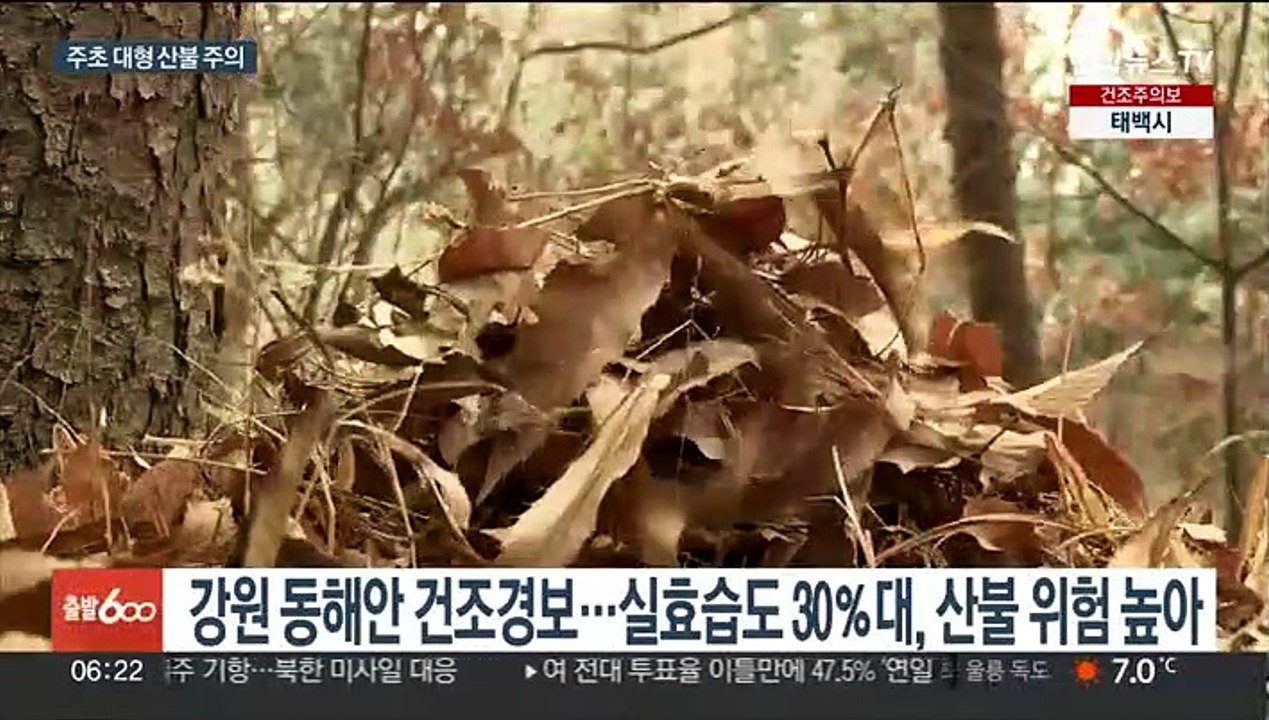 산불 한달 만에 3배 급증…주초 강풍 더해져 비상