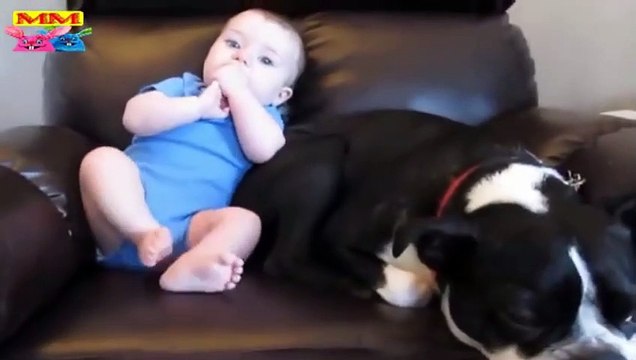 cute babies playing with dogs compilation