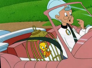 The Sylvester Tweety Mysteries The Sylvester & Tweety Mysteries E032 – Family Circles / Sea You Later