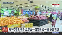 물가상승률 4%대로…전기·가스 상승폭 역대 최대