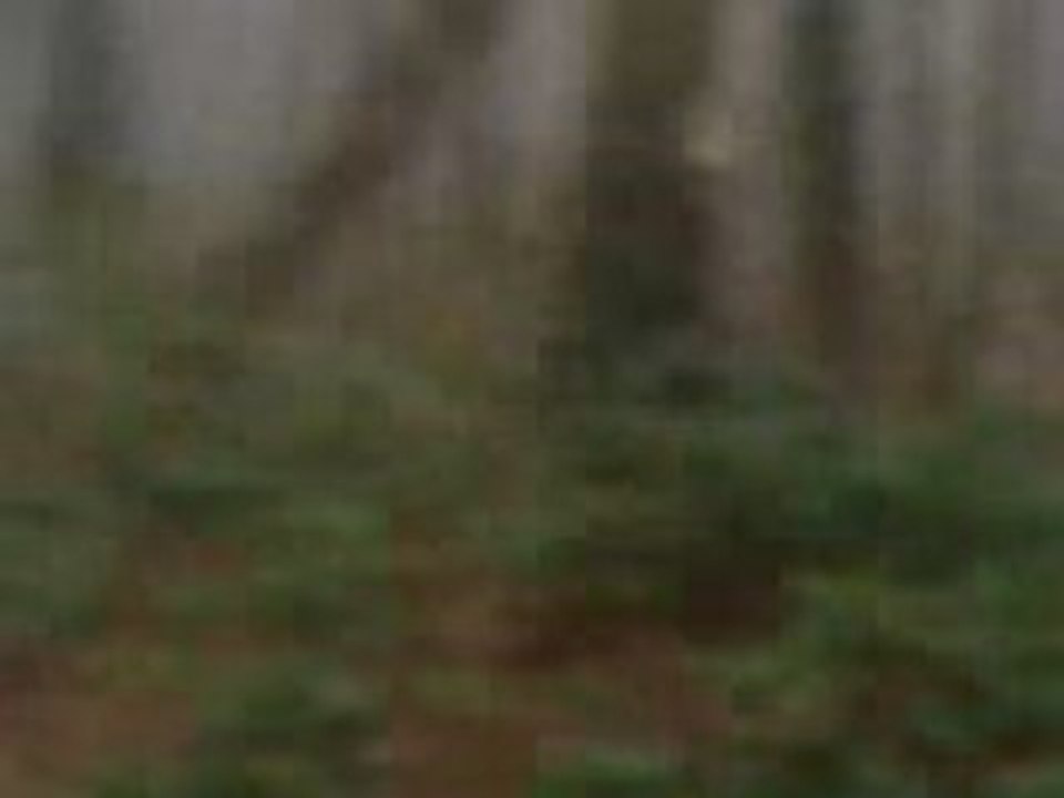 VIDEO 2 SPA