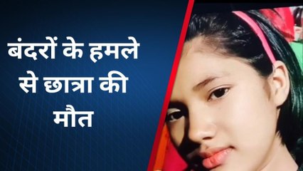 बागपत: छत पर बैठी छात्रा पर टूट पड़े बंदर, मरते दम तक नोंचते रहे जिस्म