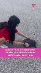 Girl With Heart Of Gold Picks Rescue Huge Turtle  || Heartsome