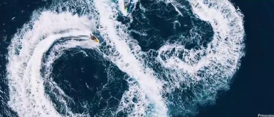 Shark Bait Hindi Dubbed