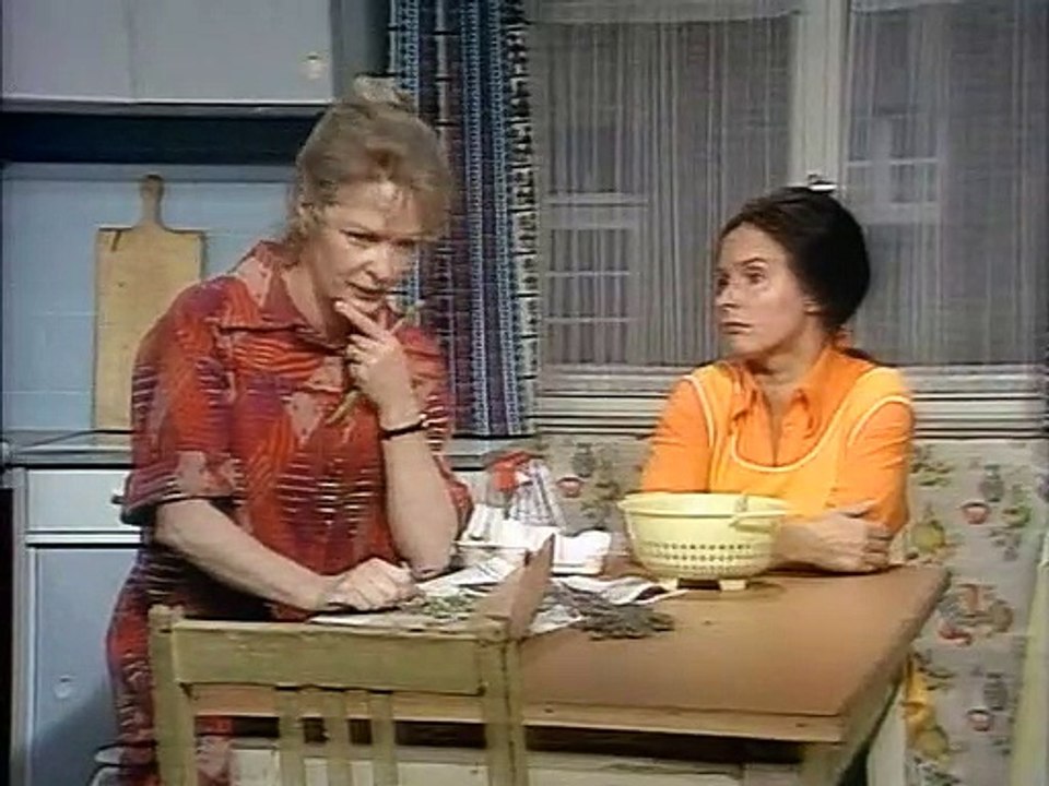 Ein Herz Und Eine Seele E20-Der Staatsfeind