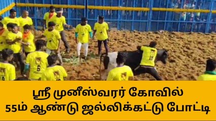 பு.கோட்டை: சீறிப்பாயும் காளைகள்- ஜல்லிக்கட்டை துவக்கி வைத்த அமைச்சர்!