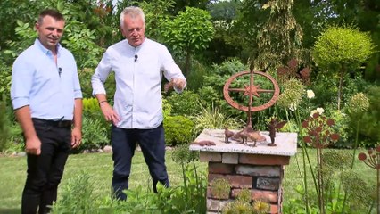 Rok w Ogrodzie Ekstra Przemek opoiwada o ogrodzie 2021