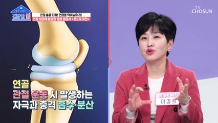관절의 쿠션 & 윤활유 역할을 해주는 ‘콘드로이친’ TV CHOSUN 230306 방송
