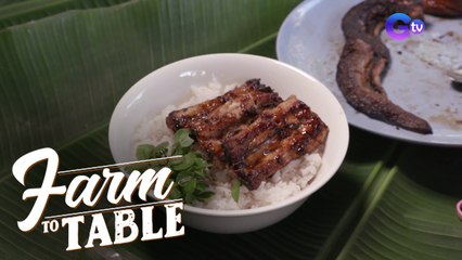 Quick and easy rice bowl with local eels! | Farm To Table