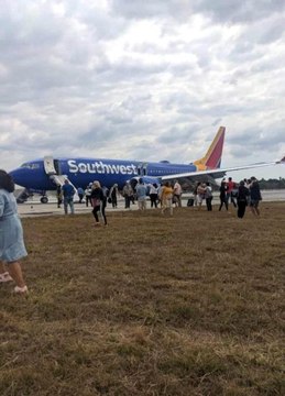 Küba'da uçak kuşlara çarptı, kabini duman kapladı