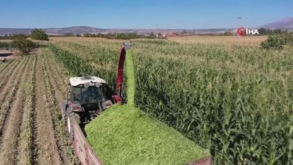 3500 üreticiye 85 bin kilogram silajlık mısır tohumu dağıtıldı