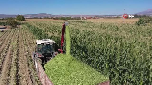 3500 üreticiye 85 bin kilogram silajlık mısır tohumu dağıtıldı