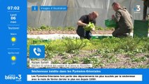 Sécheresse : seul un habitant sur deux dans les Pyrénées-Orientales pense manquer d'eau bientôt