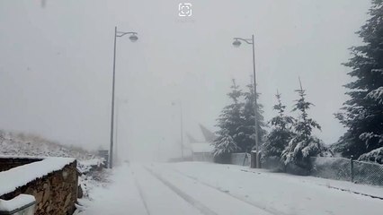 Norte do país coberto de neve. Veja as imagens