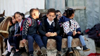 بدلا من الحافلات.. الحنطور ينقل التلاميذ إلى المدارس في غزة