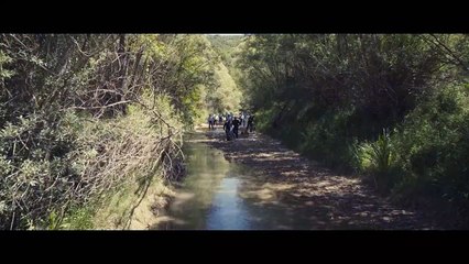 Tödliche Ahnung Teaser OV