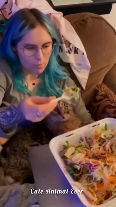 Funniest Cats And Dogs Videos  - Funny Animal Videos 2022  - Cute Animal Ever