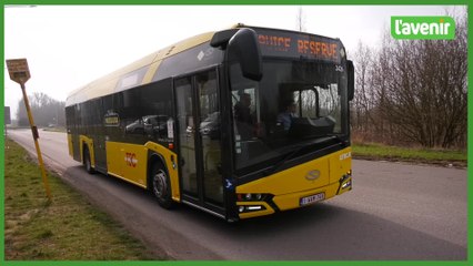 Job days : les TEC recherchent 496 conducteurs et conductrices de bus