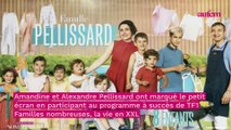 Amandine Pellissard (Familles nombreuses) : l'infraction de son fils pendant son audition par la police