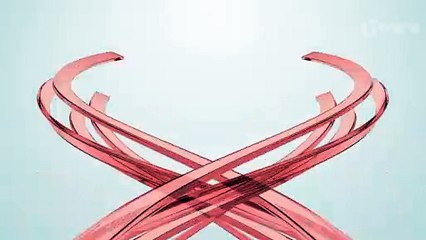 Cachorro caramelo causa 'problemão' a motoristas ao cruzar rua de MG