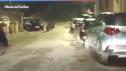 Cinghiali a spasso a Borgo Rodi. Il video è virale