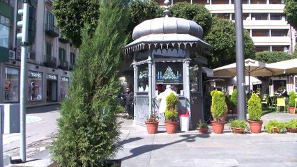alberi secchi a Messina