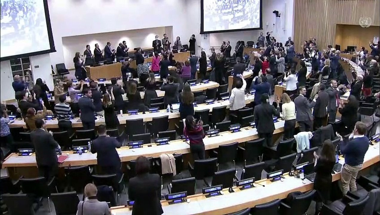 Einigung auf historisches Abkommen zum Schutz der Meere