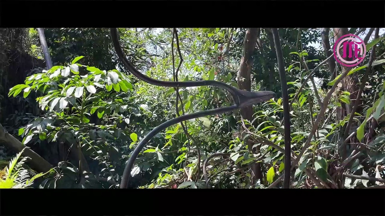 Día del Escultor