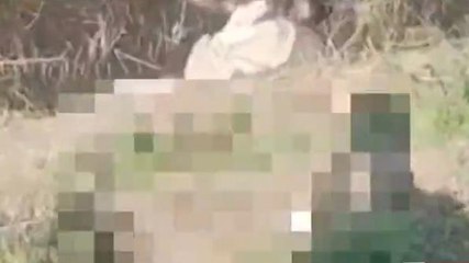 উঃ ২৪ পরগনা: বাসন্তী হাইওয়ের পাশে অজ্ঞাত মহিলার পচাগলা দেহ উদ্ধার