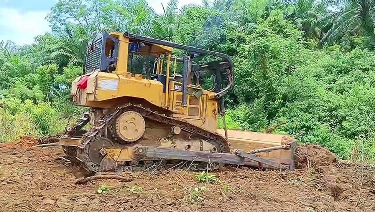 Cleaning Up The Rest of The Forest With a Bulldozer || Bulldoser D6R XL CAT