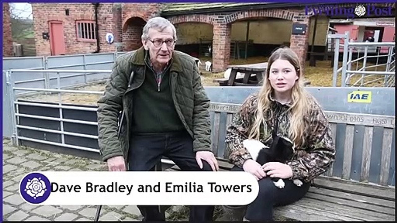 Spring has sprung at Temple Newsam’s Home Farm as birthing season has brought some adorable new baby animals, with lots more expected over the coming weeks.