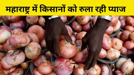 "जिस्‍म का पूरा खून निकाल लो लेकिन.." : Maharashtra में किसानों का रुला रही Onion| Farmers | Holi