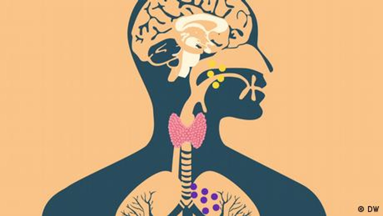 Wie Stress der Schilddrüse schadet