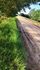 Vehículos fue captado cuando huía tras provocar accidentes