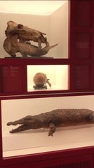 Travel Gems ARTE Milano MUDEC