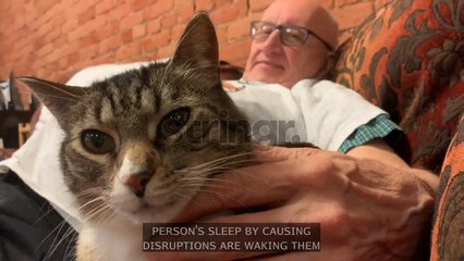 Why Sleeping With Your Pet Is A Bad Idea