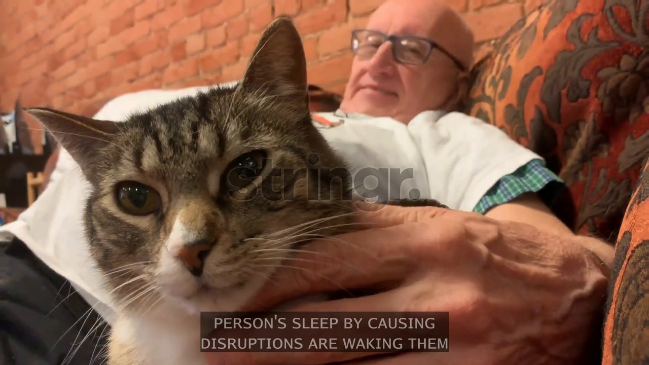 Why Sleeping With Your Pet Is A Bad Idea
