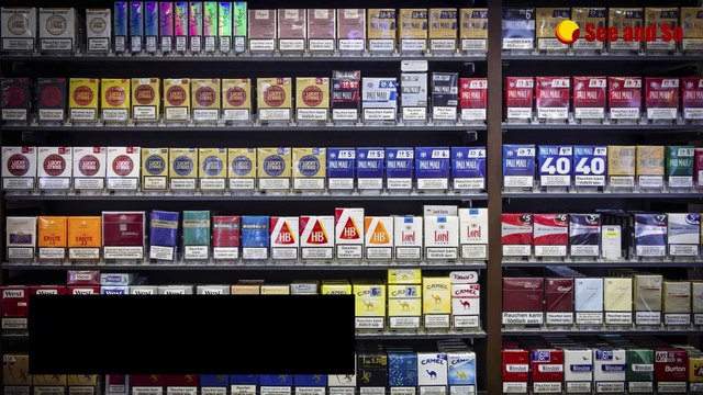 Familie, Freund und Herkunft: Das ist über Luisa Neubauers Privatleben bekannt