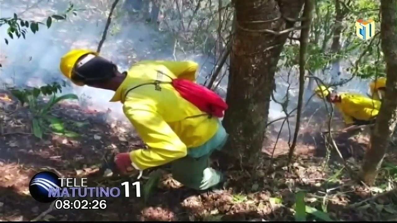 #Telematutino / Finalmente pudo ser sofocado el incendio de Valle Nuevo / 6 marzo 2023