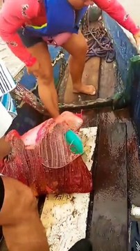 Rescate de perrito que fue arrojado a un rio dentro de un costal