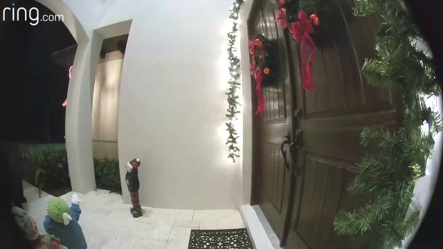 Regardez qui vient sonner à la porte... un ours