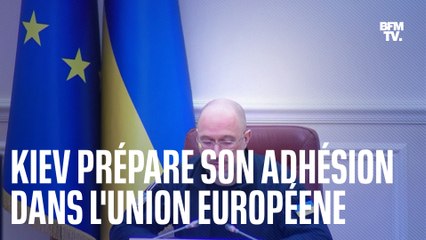 Descargar video: Kiev souhaite l'ouverture des négociations pour adhérer à l'UE 