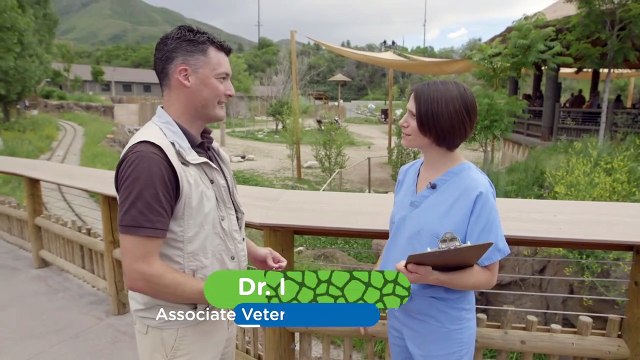 Zookeepers Giving Animals Medicine Is a Tough Thing to Do But These People Are Pros