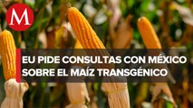 EU anuncia consultas del T-MEC con México tras restricciones al maíz transgénico