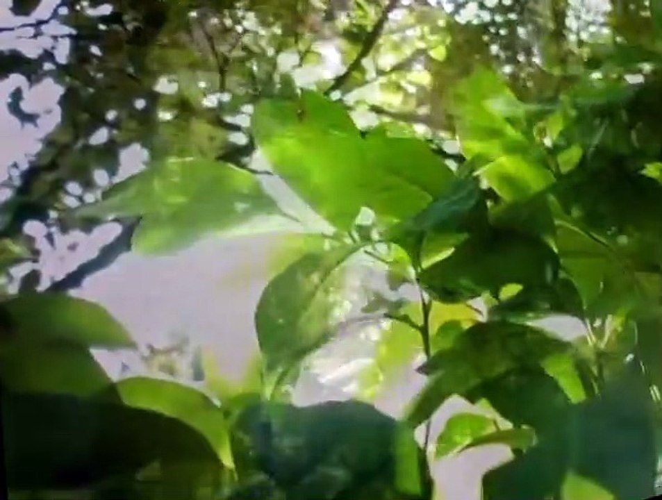 Minuscule S01 E04