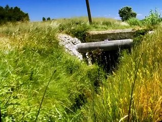 Minuscule S01 E05